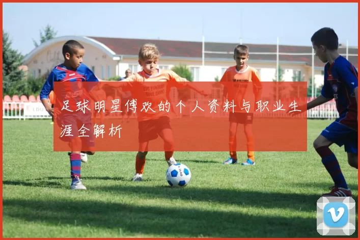 足球明星傅欢的个人资料与职业生涯全解析