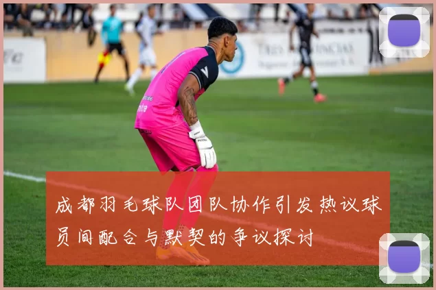 成都羽毛球队团队协作引发热议球员间配合与默契的争议探讨