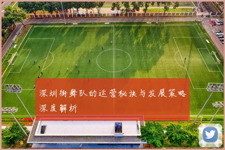 深圳街舞队的运营秘诀与发展策略深度解析