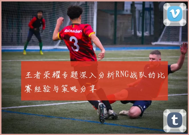 王者荣耀专题深入分析RNG战队的比赛经验与策略分享