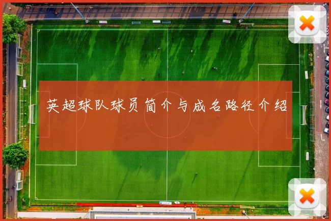 英超球队球员简介与成名路径介绍