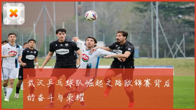 武汉乒乓球队崛起之路欧锦赛背后的奋斗与荣耀