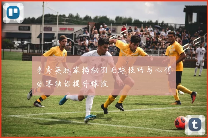李秀英独家揭秘羽毛球技巧与心得分享助你提升球技