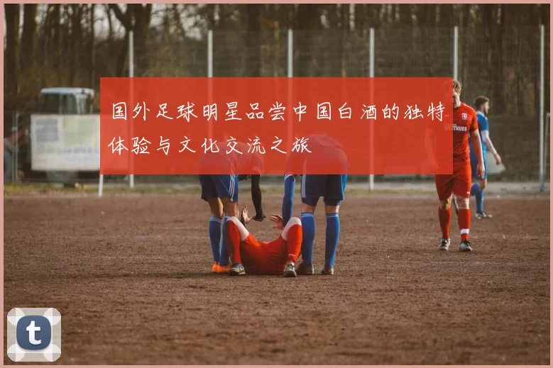 国外足球明星品尝中国白酒的独特体验与文化交流之旅