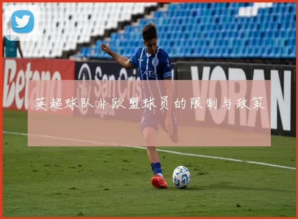 英超球队非欧盟球员的限制与政策