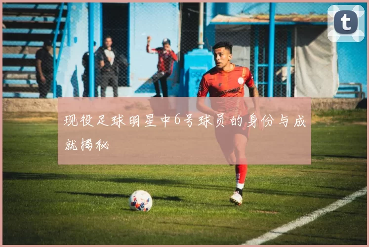 现役足球明星中6号球员的身份与成就揭秘