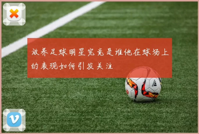 放养足球明星究竟是谁他在球场上的表现如何引发关注