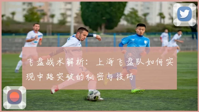 飞盘战术解析：上海飞盘队如何实现中路突破的秘密与技巧