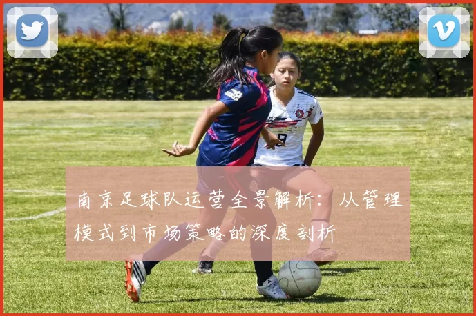 南京足球队运营全景解析：从管理模式到市场策略的深度剖析
