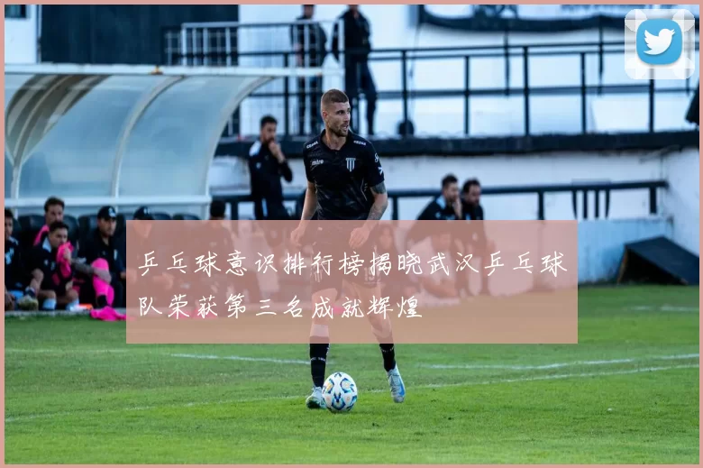 乒乓球意识排行榜揭晓武汉乒乓球队荣获第三名成就辉煌