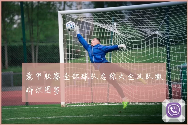 意甲联赛全部球队名称大全及队徽辨识图鉴